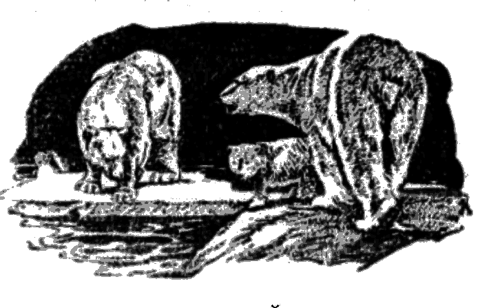 Мои приключения в полярных морях - i_004.png