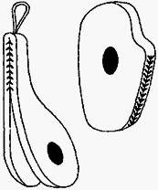 Трактат о женской самообороне. Практическое пособие - any2fbimgloader94.png