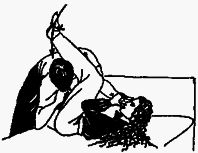 Трактат о женской самообороне. Практическое пособие - any2fbimgloader175.png