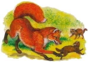 Хорюшка - _002.jpg