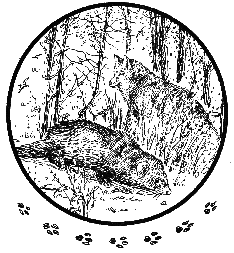 Хорюшка - _004.png