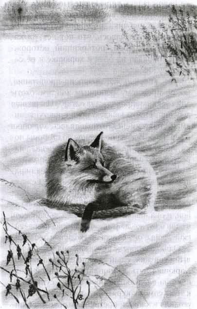 Хорюшка - _008.jpg