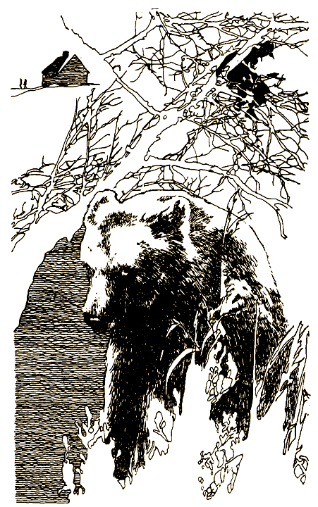 Мой знакомый медведь - i_004.png