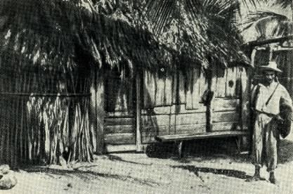 Затерянный мир Кинтана-Роо - _014.jpg