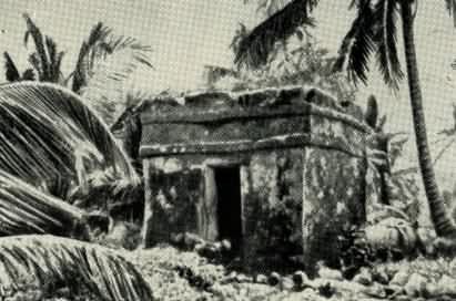 Затерянный мир Кинтана-Роо - _016.jpg