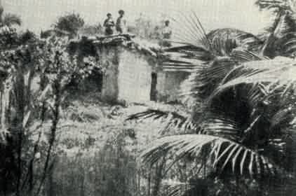 Затерянный мир Кинтана-Роо - _026.jpg