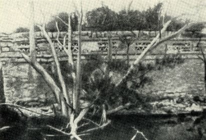 Затерянный мир Кинтана-Роо - _028.jpg