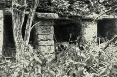 Затерянный мир Кинтана-Роо - _029.jpg