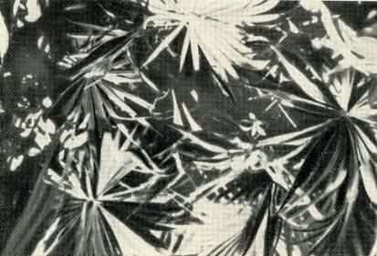 Затерянный мир Кинтана-Роо - _030.jpg