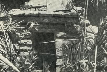 Затерянный мир Кинтана-Роо - _031.jpg