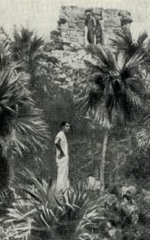 Затерянный мир Кинтана-Роо - _032.jpg