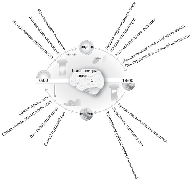 Вселенная внутри нас: что общего у камней, планет и людей - i_017.png