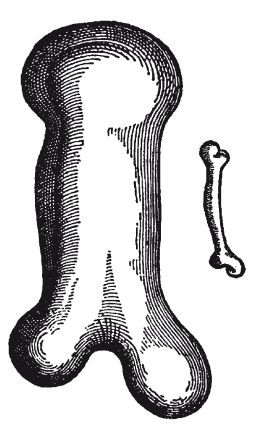Вселенная внутри нас: что общего у камней, планет и людей - i_024.png