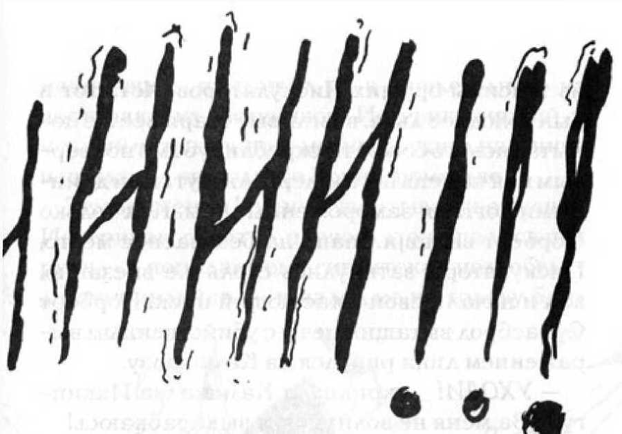 Как перехитрить дракона - _76.jpg