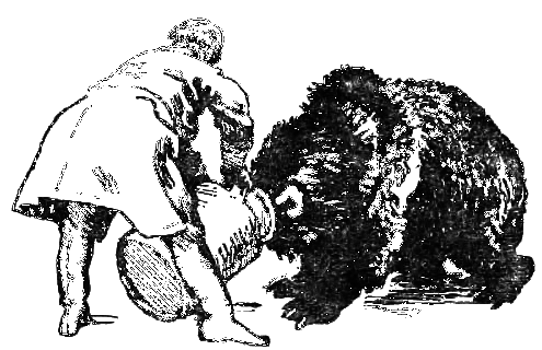 Звери на улице - _024.png