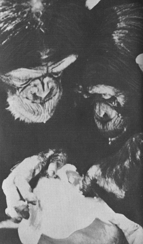 Шимпанзе горы Ассерик - i_034.jpg