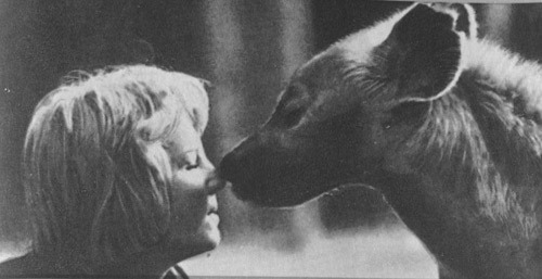 Шимпанзе горы Ассерик - i_039.jpg