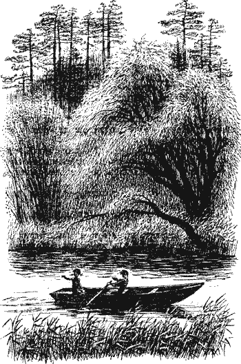 Умный дикобраз - i_004.png