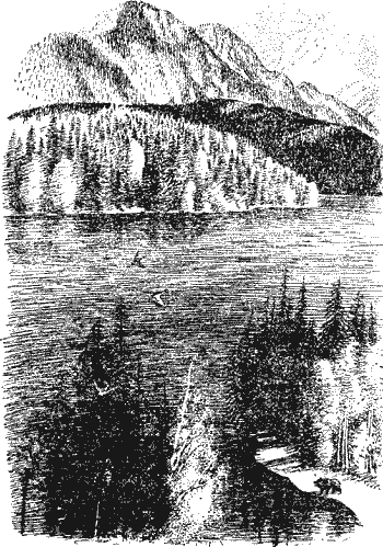 Умный дикобраз - i_008.png