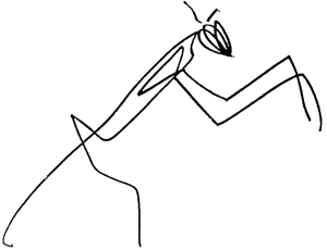 Собака и лисица - doc2fb_image_0300001e.png