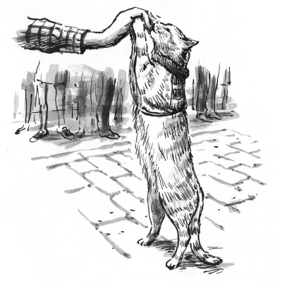 Мир глазами кота Боба. Новые приключения человека и его рыжего друга - i_004.jpg