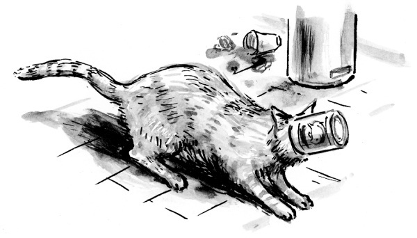 Мир глазами кота Боба. Новые приключения человека и его рыжего друга - i_007.jpg