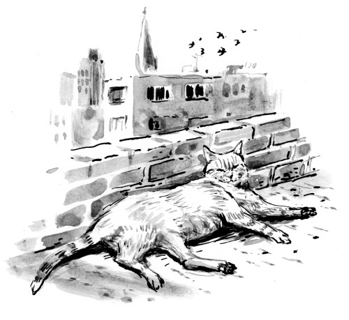 Мир глазами кота Боба. Новые приключения человека и его рыжего друга - i_008.jpg