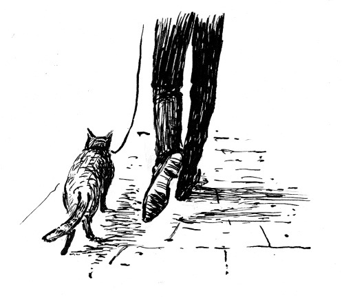 Мир глазами кота Боба. Новые приключения человека и его рыжего друга - i_017.jpg