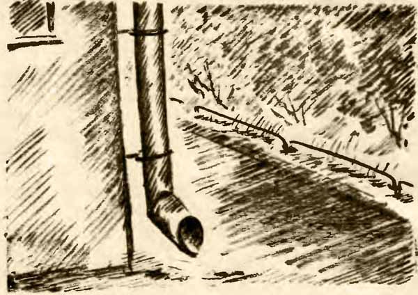 Приключения октябрёнка Васи Сомова в прошлом - i_004.jpg