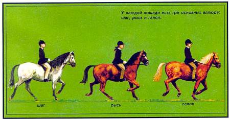 Лошади - _50.jpg