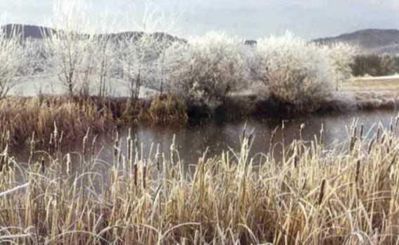 Погода - _31.JPG