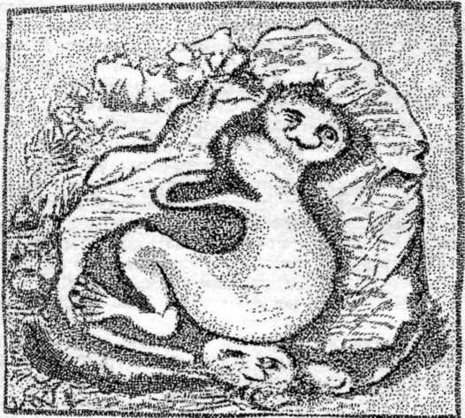 Искусство острова Пасхи - i_024.jpg