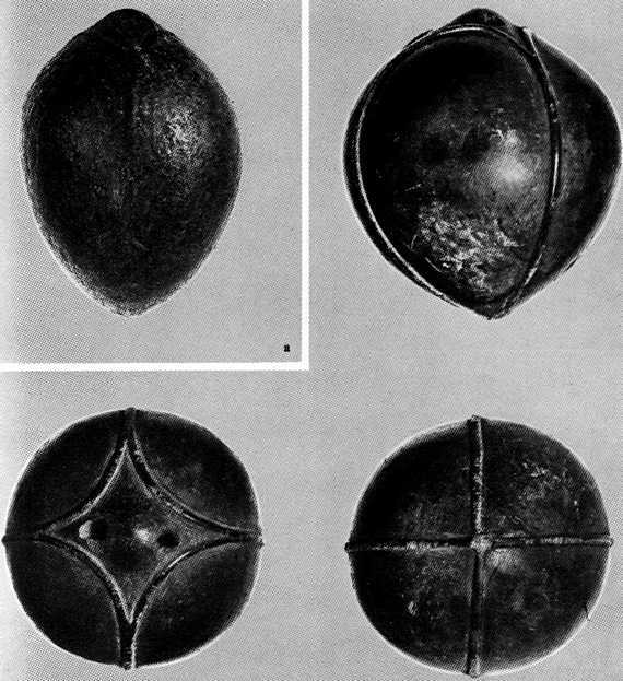 Искусство острова Пасхи - i_129.jpg