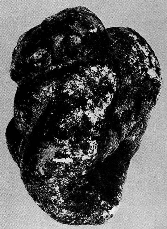 Искусство острова Пасхи - i_246.jpg