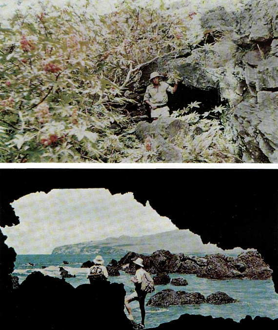 Искусство острова Пасхи - i_412.jpg