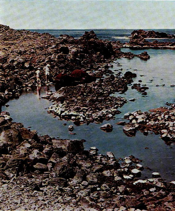 Искусство острова Пасхи - i_414.jpg