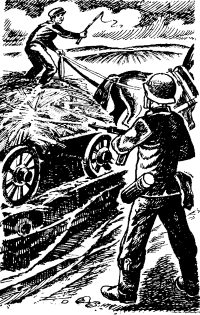 Зимородок - i_005.png