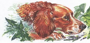 Великан на поляне или первые уроки экологической этики - _20.jpg