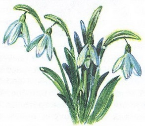 Великан на поляне или первые уроки экологической этики - _78.jpg