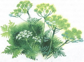 Великан на поляне или первые уроки экологической этики - _22.jpg