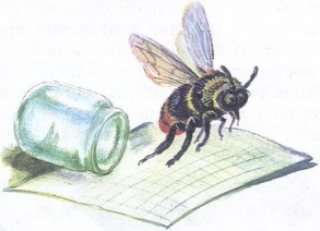 Великан на поляне или первые уроки экологической этики - _25.jpg