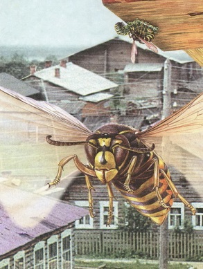 Великан на поляне или первые уроки экологической этики - _27.jpg