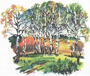 Великан на поляне или первые уроки экологической этики - _98.jpg