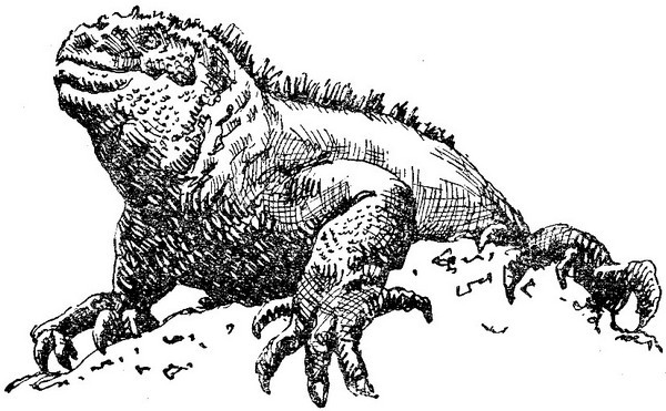 Змеи-гиганты и страшные ящеры - i_005.jpg