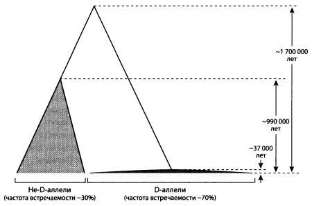 Эволюция человека. Книга 1. Обезьяны, кости и гены - i_040.jpg