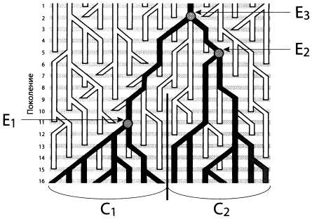 Эволюция человека. Книга 1. Обезьяны, кости и гены - i_048.jpg