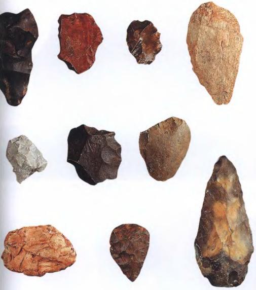 Эволюция человека. Книга 1. Обезьяны, кости и гены - i_077.jpg