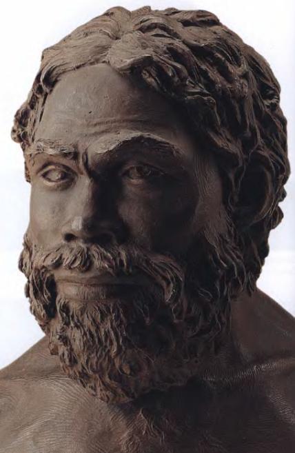 Эволюция человека. Книга 1. Обезьяны, кости и гены - i_082.jpg