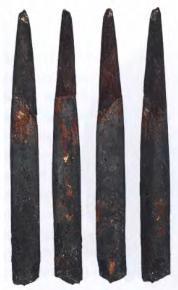 Эволюция человека. Книга 1. Обезьяны, кости и гены - i_083.jpg