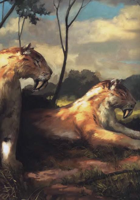 Эволюция человека. Книга 1. Обезьяны, кости и гены - i_087.jpg